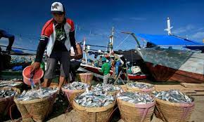 Kebijakan dan Regulasi Perikanan yang Efektif: Menjaga Keseimbangan Ekosistem Laut